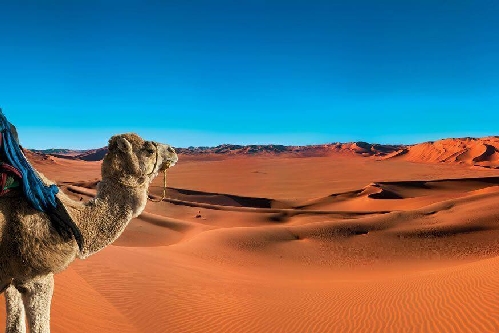 2-days-attractive-morocco-tour-from-ouarzazate-to-tinfou-dunes-zagora